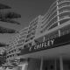 Architecture - Chifley Apartments and Residential Project